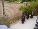 Plants ready for garden area