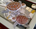 Both sea turtles finished!