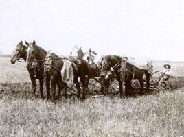 Manually Plowing Wheat Fields 1885